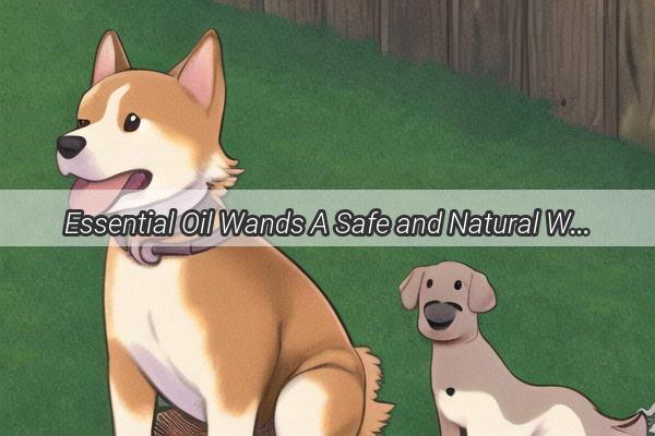 Essential Oil Wands A Safe and Natural Way to Care for Your Furry Friend